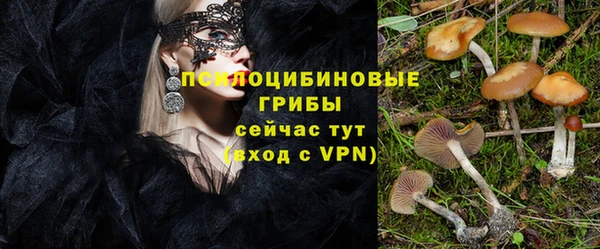 прущий лед Алагир