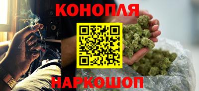 крисы Бийск