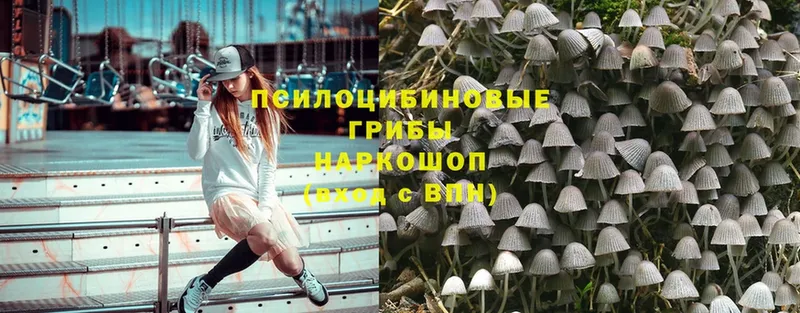 Галлюциногенные грибы MAGIC MUSHROOMS  закладки  Избербаш 