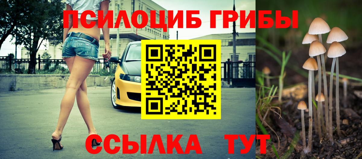 Галлюциногенные грибы мухоморы  Избербаш 