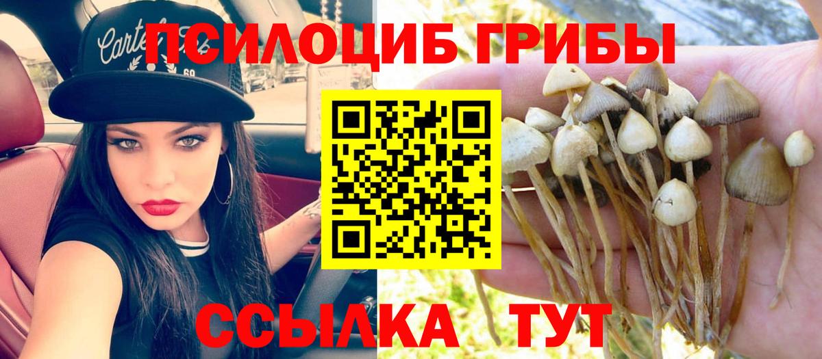 Галлюциногенные грибы GOLDEN TEACHER  Вход с VPN  Псилоцибиновые грибы мухоморы  купить наркоту  Избербаш 