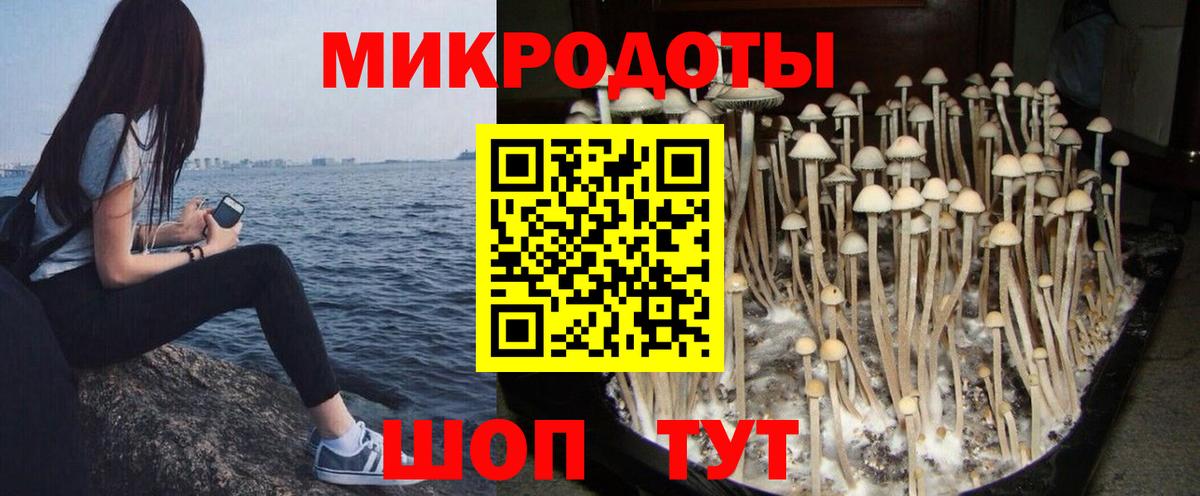 Галлюциногенные грибы Избербаш