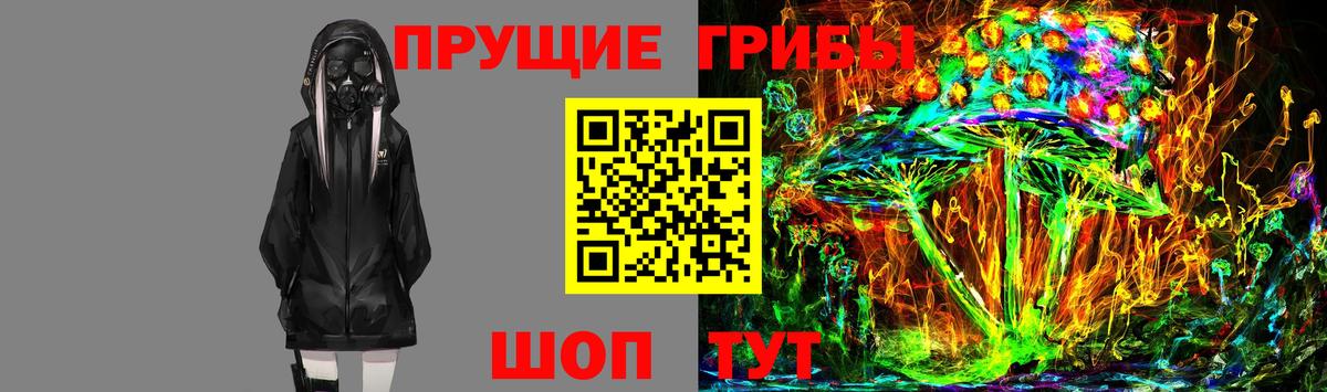 Галлюциногенные грибы Magic Shrooms Избербаш
